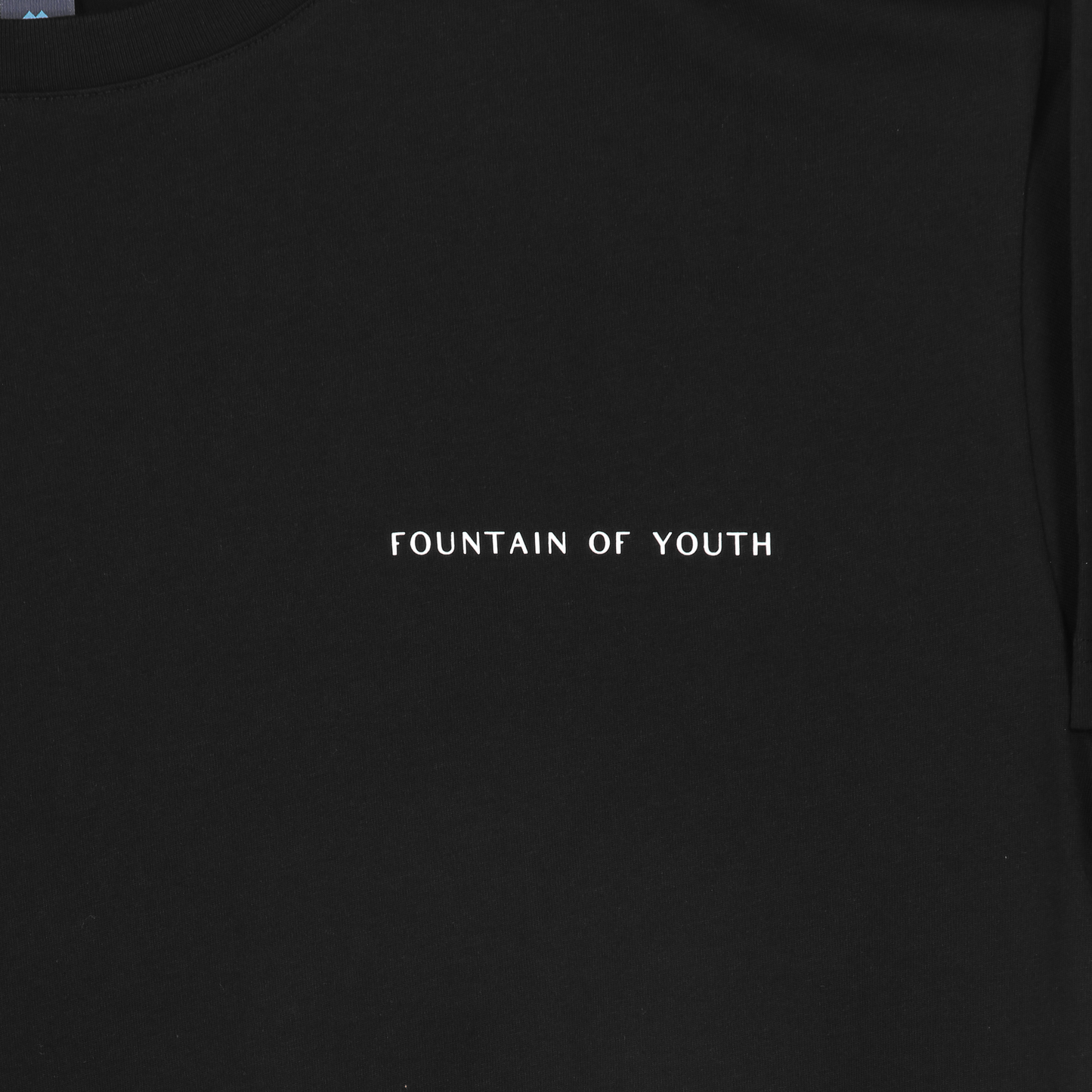 Fountain of Youth Essential - Heavy Weight T-Shirt - Black