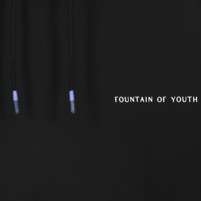 Fountain of Youth Essential - Heavy Weight Hoodie - Black